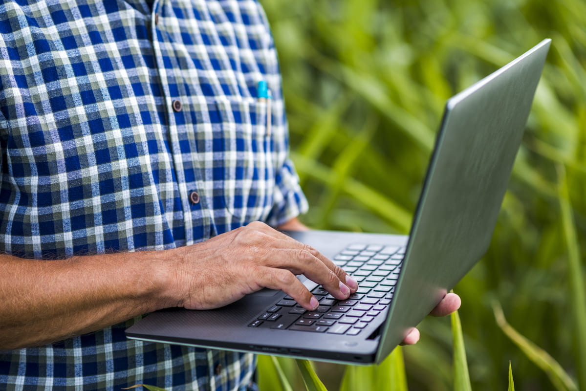 5 tattiche di SEO per migliorare il ranking del tuo sito agricolo