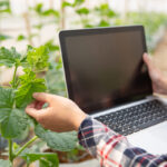 Il costo di non investire nel Marketing Digitale per l’Agribusiness