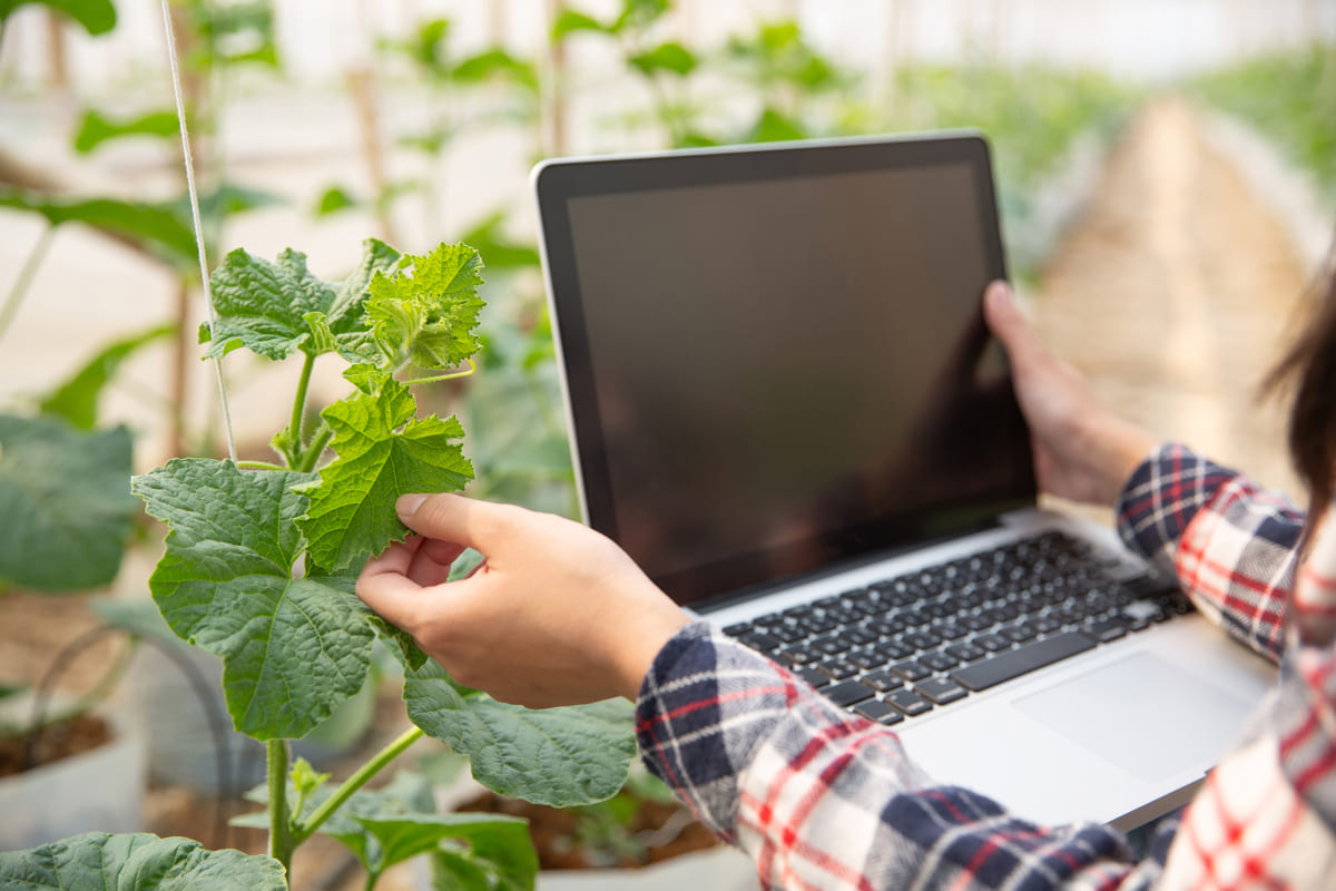 Il costo di non investire nel Marketing Digitale per l'Agribusiness