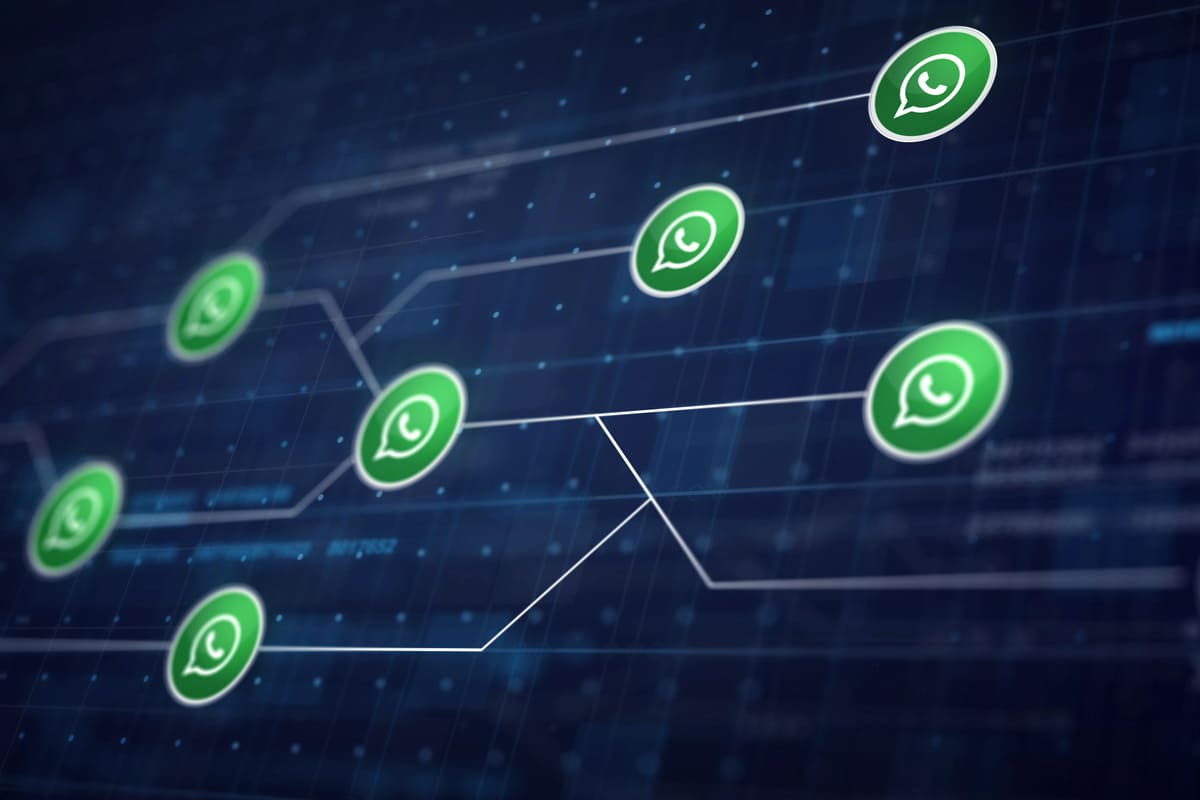 Come utilizzare WhatsApp Business per comunicare con i clienti dell'azienda