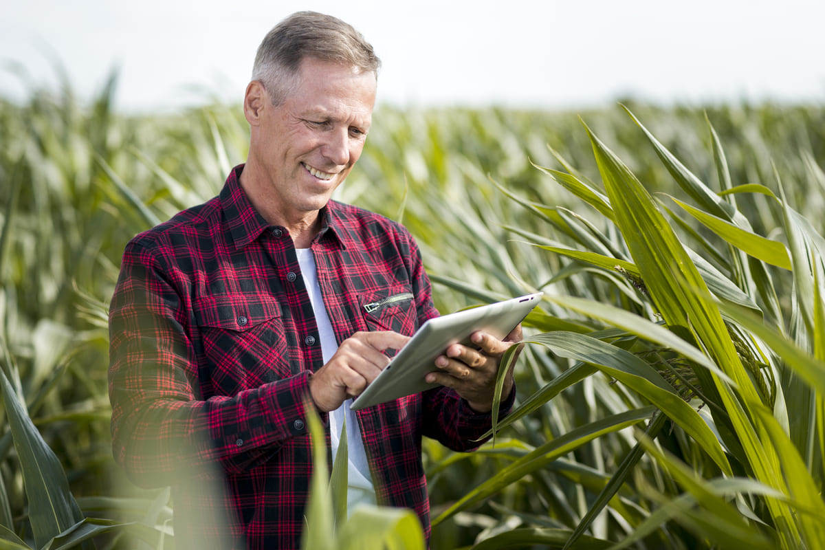 La consulenza di marketing digitale per l'agroindustria funziona