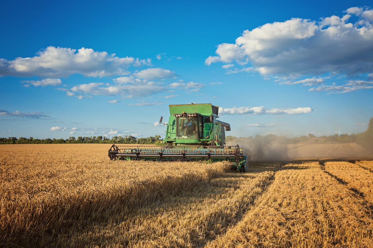 Strategie per i Social Network per l'agroalimentaire